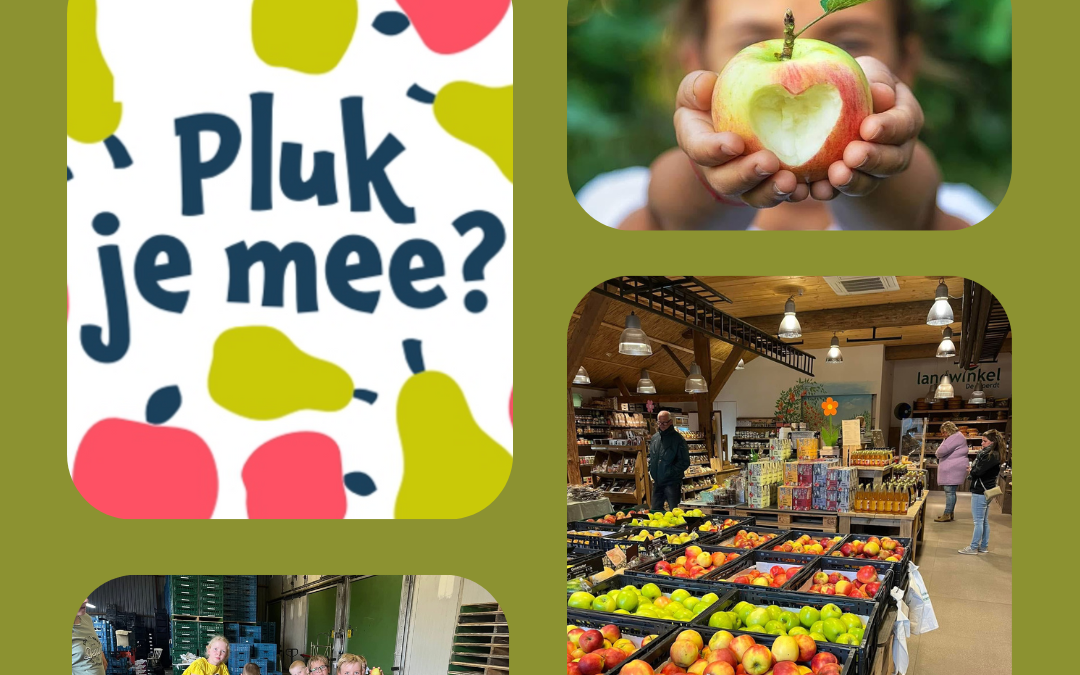 Doe mee met De Laatste Pluk! Als fruitteler, bedrijf of vrijwilliger op 26-9-2025