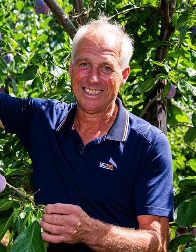 theo-wolters-tussen-de-pruimen-op-zijn-fruitkwekerij-de-stokhorst-in-groessen-2